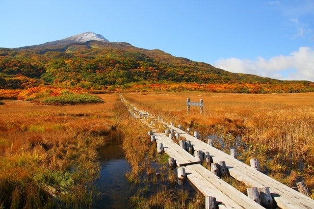 紅葉 見ごろ 鳥海山 秋田県 の観光イベント情報 ゆこゆこ