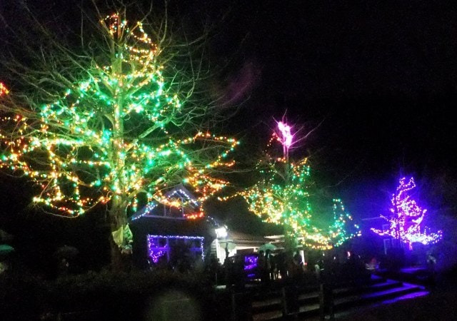 クリスマスイルミネーション 木のおもちゃ美術館 秋田県 の観光イベント情報 ゆこゆこ