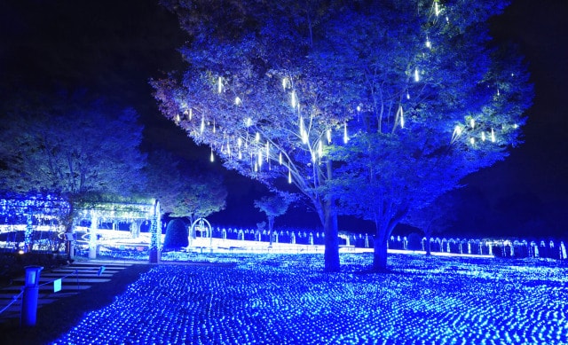 ハイジの村 光のページェント 山梨県 の観光イベント情報 ゆこゆこ ハイジの村 光のページェント 山梨県 の観光イベント情報 ゆこゆこ