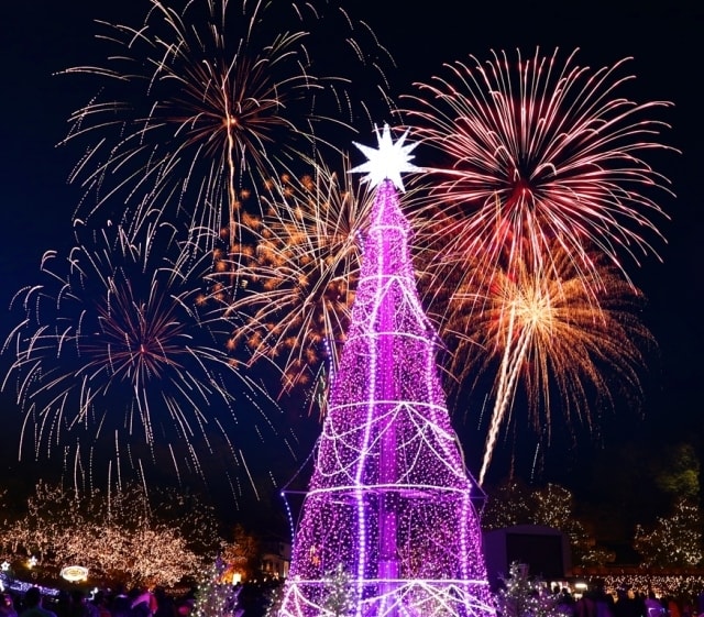 備北イルミ 広島県 の観光イベント情報 ゆこゆこ