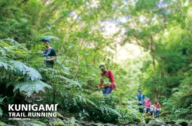 第7回 国頭トレイルランニング大会 沖縄県 の観光イベント情報 ゆこゆこ