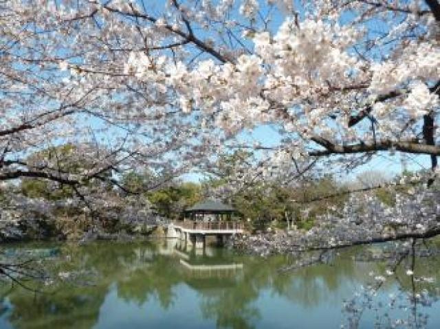 鶴舞公園 花まつり 中止となりました 愛知県 の観光イベント情報 ゆこゆこ