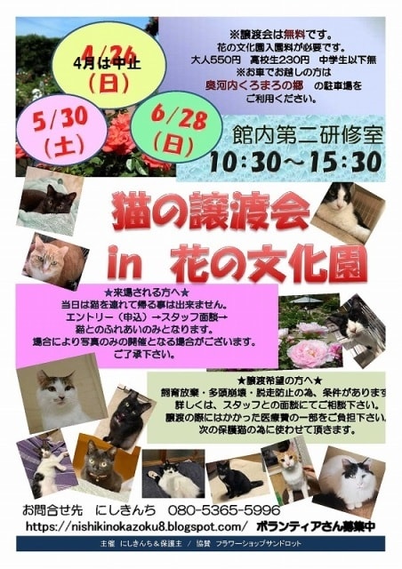 猫の譲渡会 In 花の文化園 6月 大阪府 の観光イベント情報 ゆこゆこ