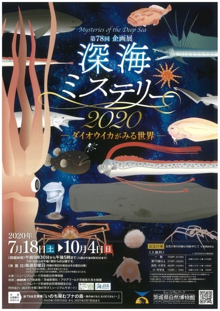 第78回企画展 深海ミステリー ダイオウイカがみる世界 茨城県 の観光イベント情報 ゆこゆこ