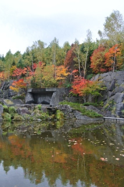 国営滝野すずらん丘陵公園 紅葉まつり 中止となりました 北海道 の観光イベント情報 ゆこゆこ