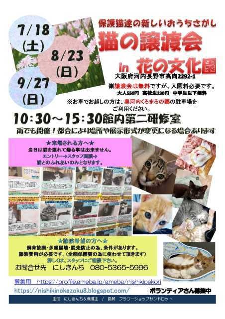 猫の譲渡会 in 花の文化園（9月）（大阪府）の観光イベント情報｜ゆこゆこ