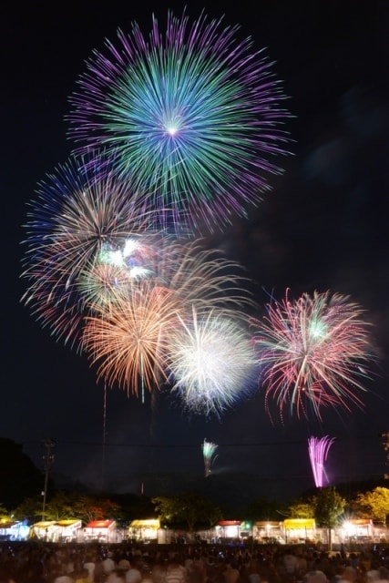 藤枝花火大会 中止となりました 静岡県 の観光イベント情報 ゆこゆこ