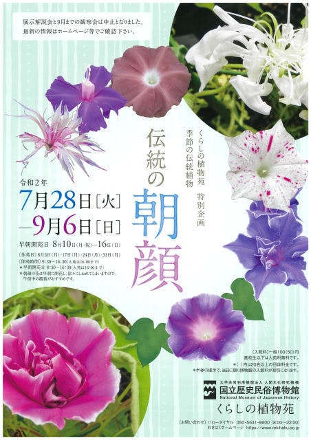 くらしの植物苑特別企画 伝統の朝顔 千葉県 の観光イベント情報 ゆこゆこ