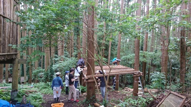 ツリーハウスマスター 1泊2日 8月 千葉県 の観光イベント情報 ゆこゆこ