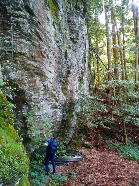 農山村ボランティア 若葉のふるさと協力隊 In 福井県坂井市竹田地区 福井県 の観光イベント情報 ゆこゆこ