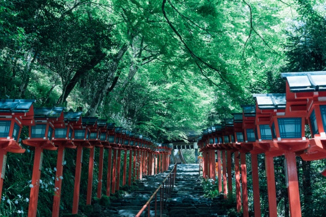 神職がご案内する パワースポット貴船神社 京都府 の観光イベント情報 ゆこゆこ