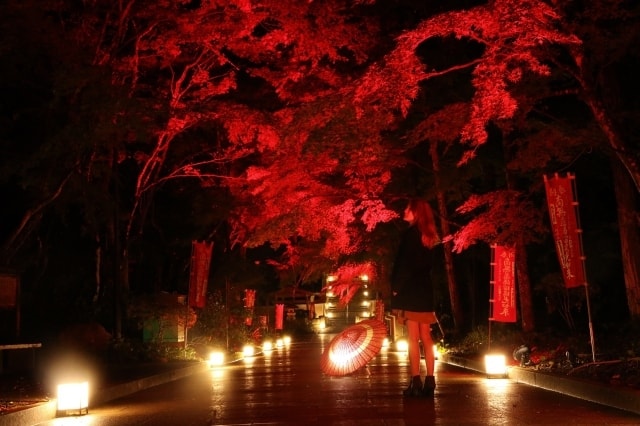 紅葉 見ごろ 油山寺 静岡県 の観光イベント情報 ゆこゆこ