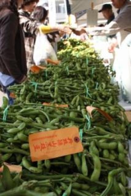 丹波篠山味まつり 中止となりました 兵庫県 の観光イベント情報 ゆこゆこ