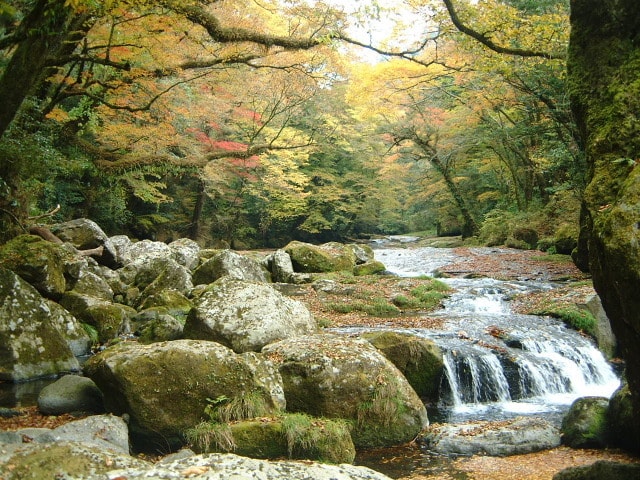 紅葉 見ごろ 菊池渓谷 熊本県 の観光イベント情報 ゆこゆこ