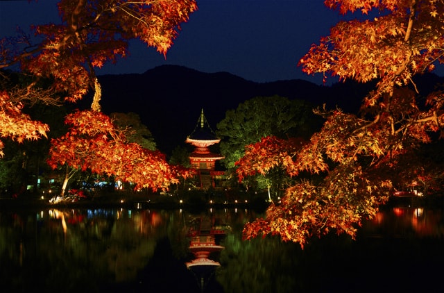 大覚寺大沢池ライトアップ 真紅の水鏡 中止となりました 京都府 の観光イベント情報 ゆこゆこ