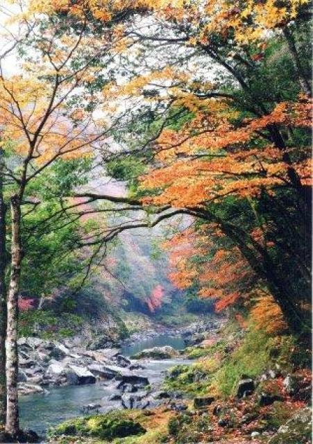 紅葉 見ごろ 長門峡 山口県 の観光イベント情報 ゆこゆこ