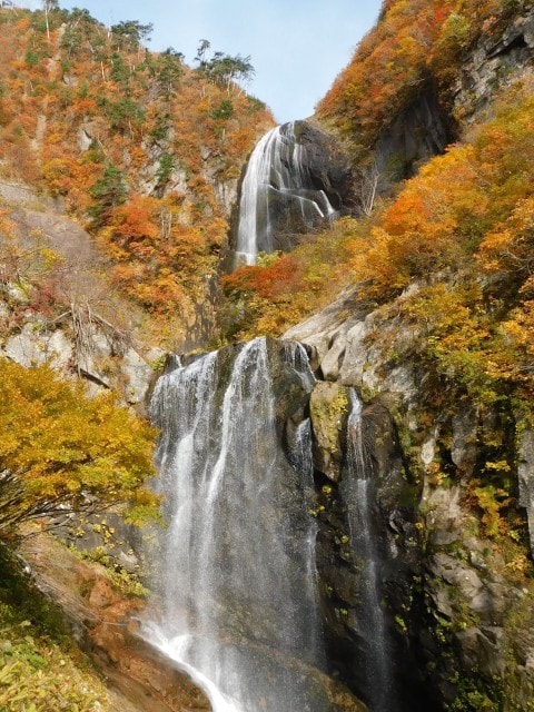 紅葉 見ごろ 安の滝 秋田県 の観光イベント情報 ゆこゆこ