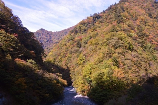 紅葉 見ごろ 丹沢大山国定公園 県立丹沢大山自然公園 神奈川県 の観光イベント情報 ゆこゆこ