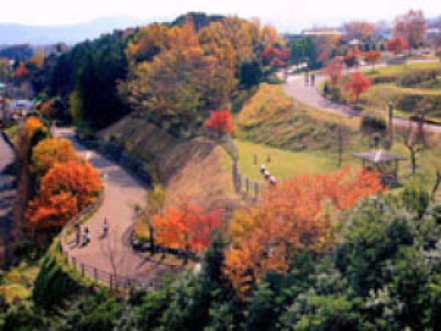 紅葉 見ごろ 秦野戸川公園 神奈川県 の観光イベント情報 ゆこゆこ