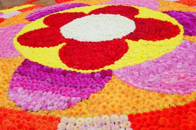 ダリアとガーデンマム祭 広島県 の観光イベント情報 ゆこゆこ