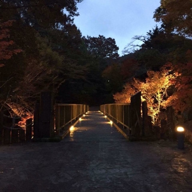 出会い橋紅葉ライトアップ 静岡県 の観光イベント情報 ゆこゆこ