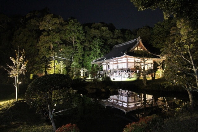 大御堂観音寺 ライトアップ 中止となりました 京都府 の観光イベント情報 ゆこゆこ