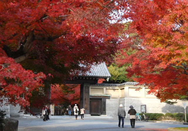 紅葉 見ごろ 毛利氏庭園 毛利博物館 特別展 国宝 山口県 の観光イベント情報 ゆこゆこ