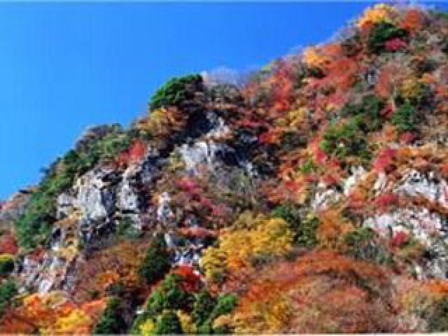 紅葉 見ごろ 別子ライン 愛媛県 の観光イベント情報 ゆこゆこ