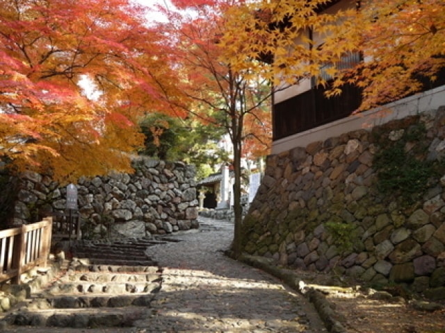 紅葉 見ごろ 国宝犬山城 愛知県 の観光イベント情報 ゆこゆこ