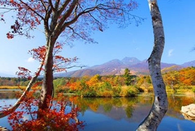 紅葉 見ごろ いもり池 新潟県 の観光イベント情報 ゆこゆこ