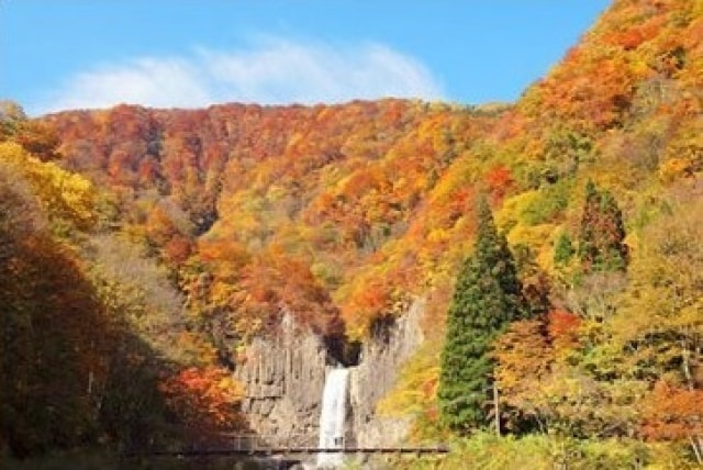 紅葉 見ごろ 苗名滝
