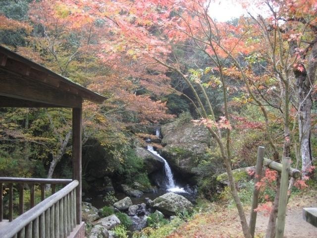 紅葉 見ごろ るり渓 京都府 の観光イベント情報 ゆこゆこ