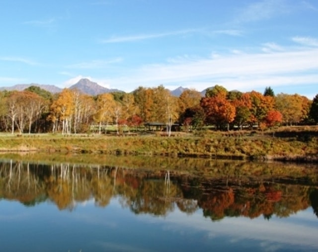 紅葉 見ごろ 八ケ岳自然文化園 長野県 の観光イベント情報 ゆこゆこ