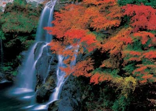 紅葉 見ごろ 大轟の滝 徳島県 の観光イベント情報 ゆこゆこ