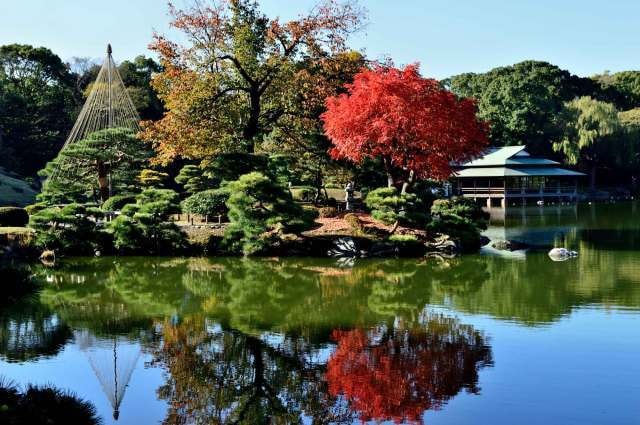 紅葉 見ごろ 清澄庭園 東京都 の観光イベント情報 ゆこゆこ