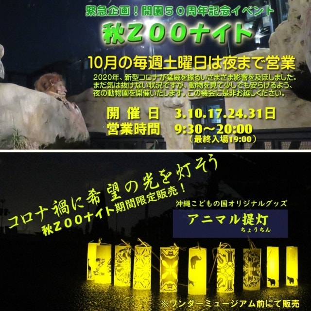 夜の動物園 秋zooナイト 沖縄県 の観光イベント情報 ゆこゆこ