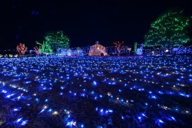 貴志川イルミネーション 中止となりました 和歌山県 の観光イベント情報 ゆこゆこ