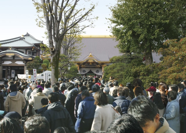 関東のおすすめ観光イベントランキング 毎日更新 ゆこゆこ