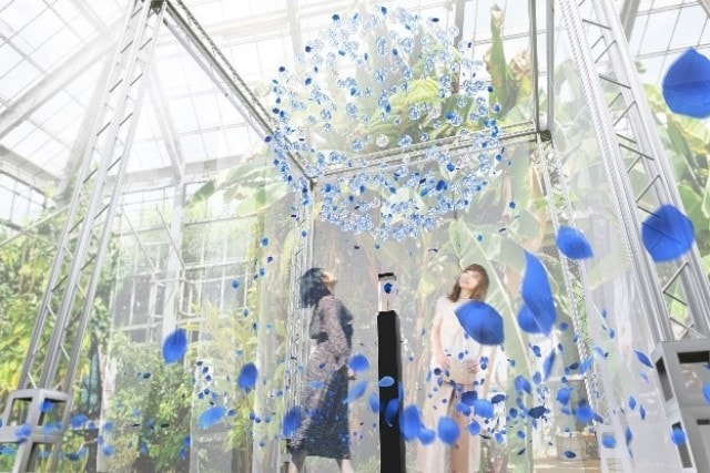 バラ と ガラス を 水 をテーマにしたインスタレーション 千葉県 の観光イベント情報 ゆこゆこ