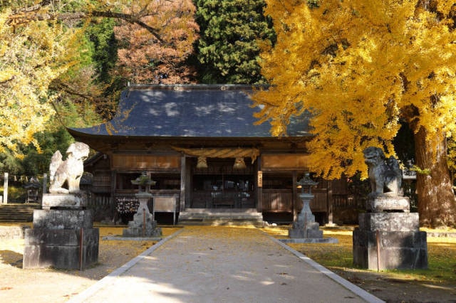 紅葉 見ごろ 福田神社 岡山県 の観光イベント情報 ゆこゆこ