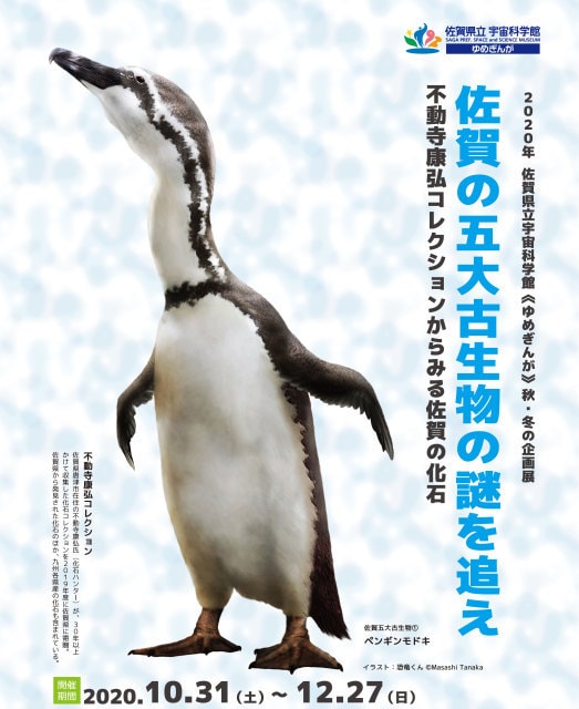 秋冬の企画展 佐賀の五大古生物の謎を追え 不動寺康弘コレクションからみる佐賀の化石 佐賀県 の観光イベント情報 ゆこゆこ