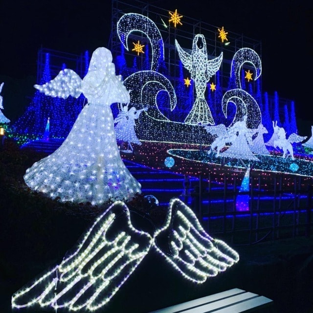 道の駅おおとう桜街道イルミネーション 福岡県 の観光イベント情報 ゆこゆこ