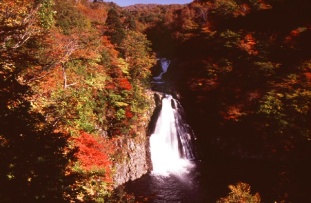 紅葉 見ごろ 法体の滝 秋田県 の観光イベント情報 ゆこゆこ