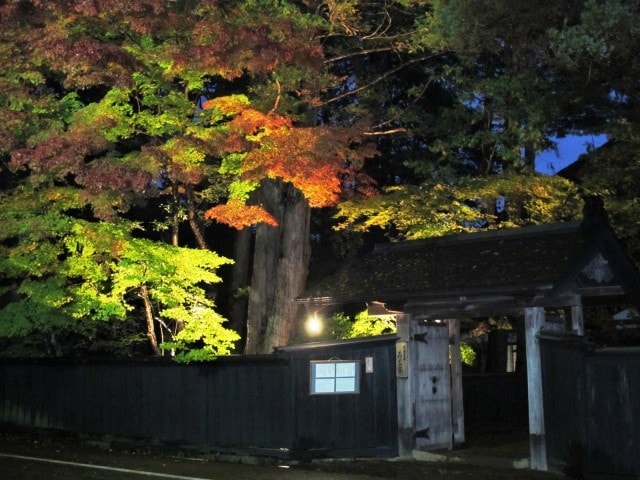 角館武家屋敷通り紅葉ライトアップ 秋田県 の観光イベント情報 ゆこゆこ