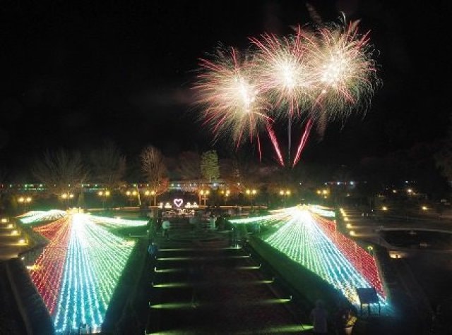 花回廊冬花火 鳥取県 の観光イベント情報 ゆこゆこ
