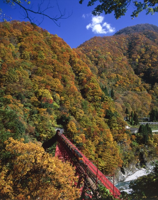 紅葉 見ごろ 黒部峡谷 富山県 の観光イベント情報 ゆこゆこ