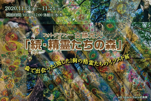 フォトグラファー古藤光久 続 精霊たちの森 イラスト展 鹿児島県 の観光イベント情報 ゆこゆこ