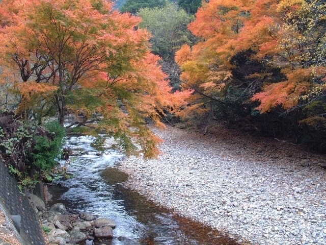 紅葉 見ごろ 見立渓谷 宮崎県 の観光イベント情報 ゆこゆこ