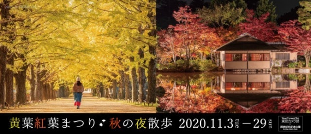 国営昭和記念公園 黄葉紅葉まつり 秋の夜散歩 東京都 の観光イベント情報 ゆこゆこ