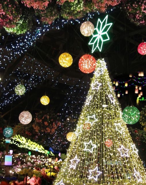 松江フォーゲルパーク ウインターナイトフェスティバル 島根県 の観光イベント情報 ゆこゆこ